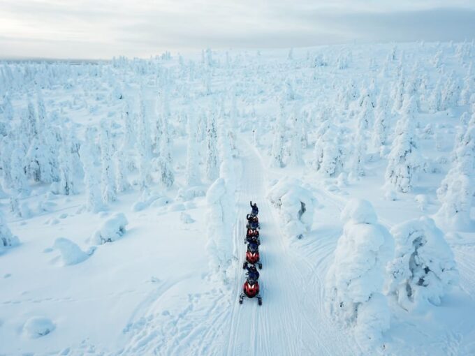Levi: Easy Snowmobile Safari Into the Nature - Family-Friendly Adventure