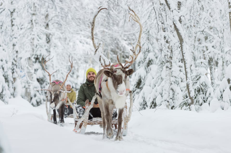 Levi: Traditional Reindeer Farm Visit & Sled Ride - Booking and Cancellation Policies