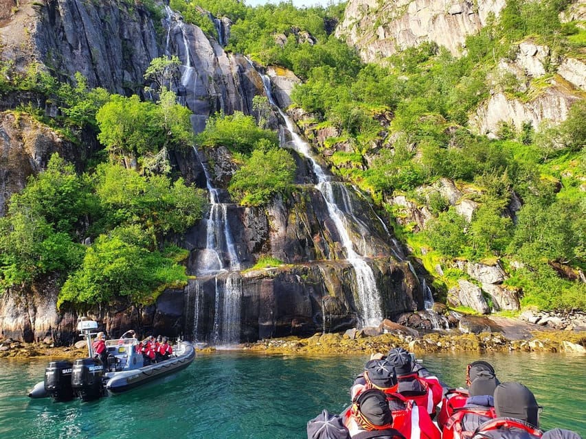 Lofoten: Trollfjord Sea Eagle Safari by RIB Boat - Booking Information