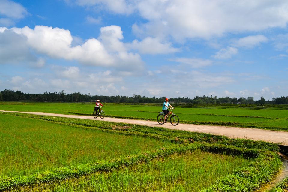 Lost Civilization - My Son Temples Bike Tour in Hoi An - Customer Feedback and Reviews