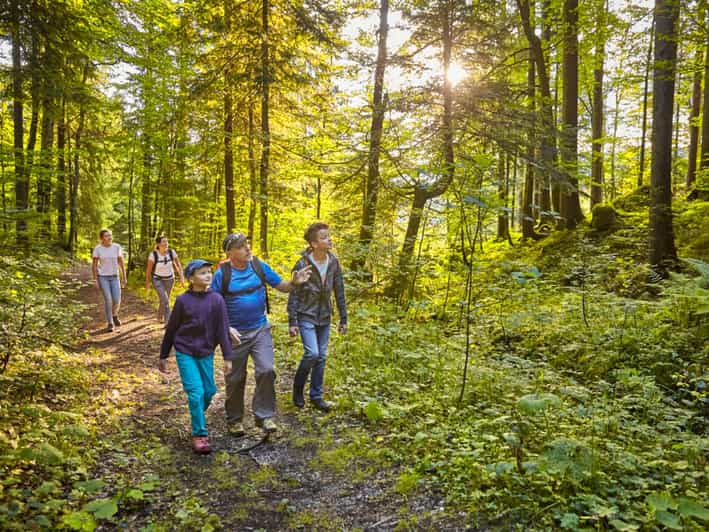 Lucerne: Guided Hike on the Pilatus With Barbecue Experience - Booking Information