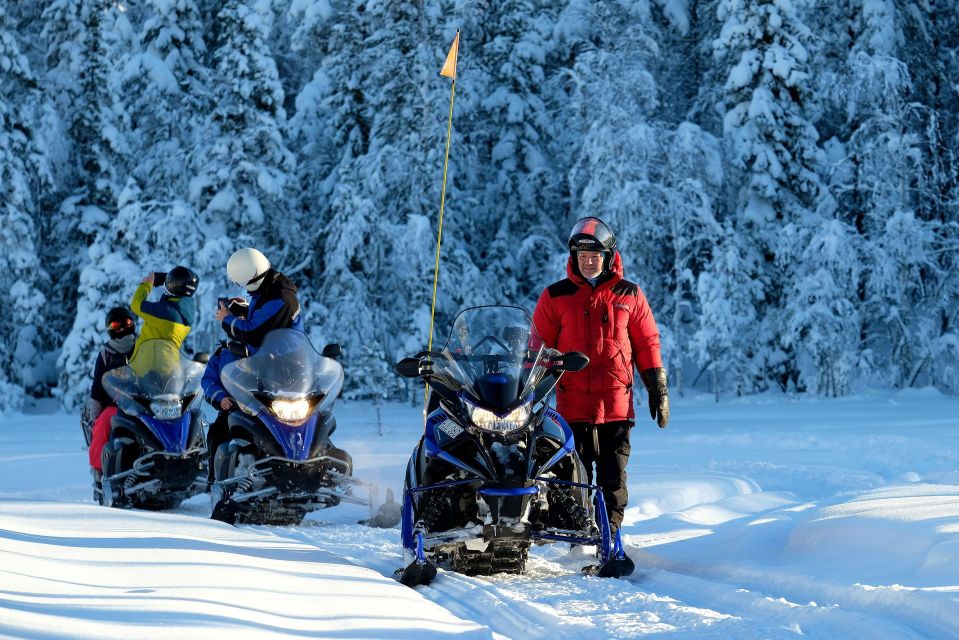 Luleå : Snowmobile - Forest and Ice Nature Tour 2h - Frequently Asked Questions