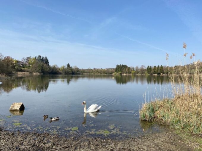 Lyon: Self-Guided Hike off the Beaten Track (Train & Picnic) - Contingency Plan
