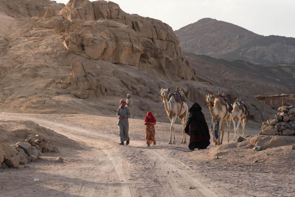 Makadi Bay: Desert Stargazing Adventure by Jeep With Dinner - Booking Information