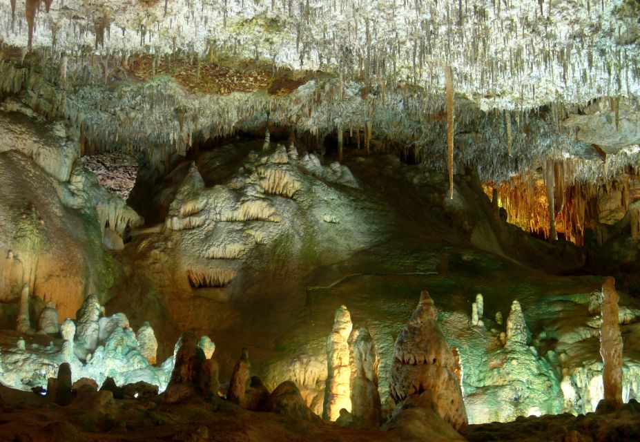 Mallorca: Caves of Hams and Dinosaurland Ticket With Pickup - Booking and Cancellation