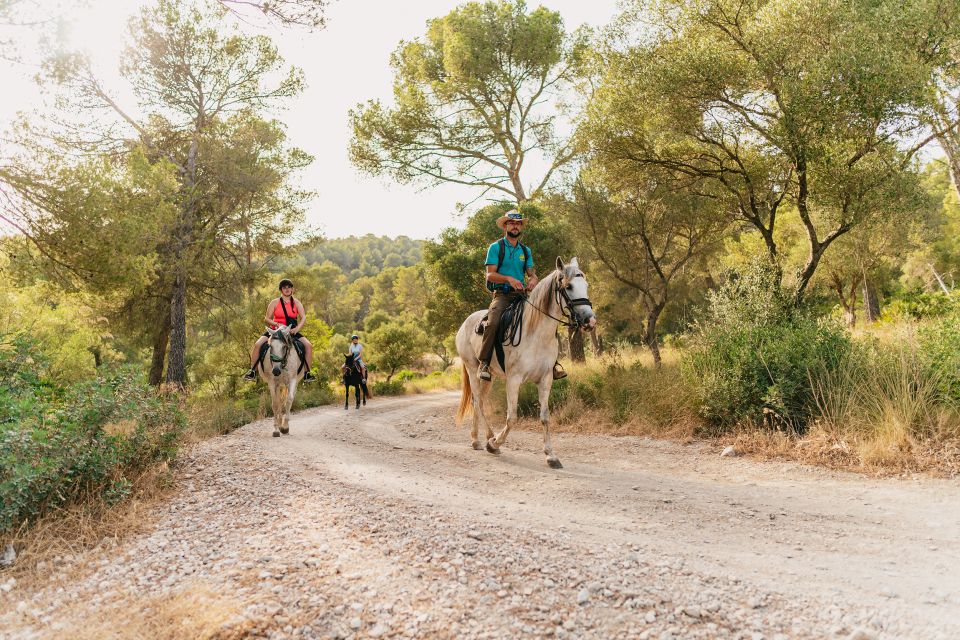 Mallorca: Horseback Riding Experience With Food Options - Activity Highlights