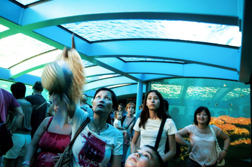 Mallorca: Palma Aquarium Entry Ticket W/ Optional 3D Cinema - Thematic Habitats and Feeding