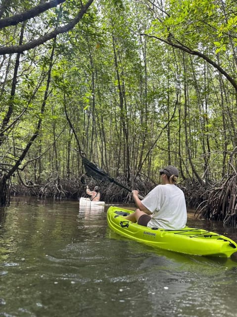 Mangrove Kayak in Langkawi Estimated 4 Hours With Lunch - Contacting the Tour Operator