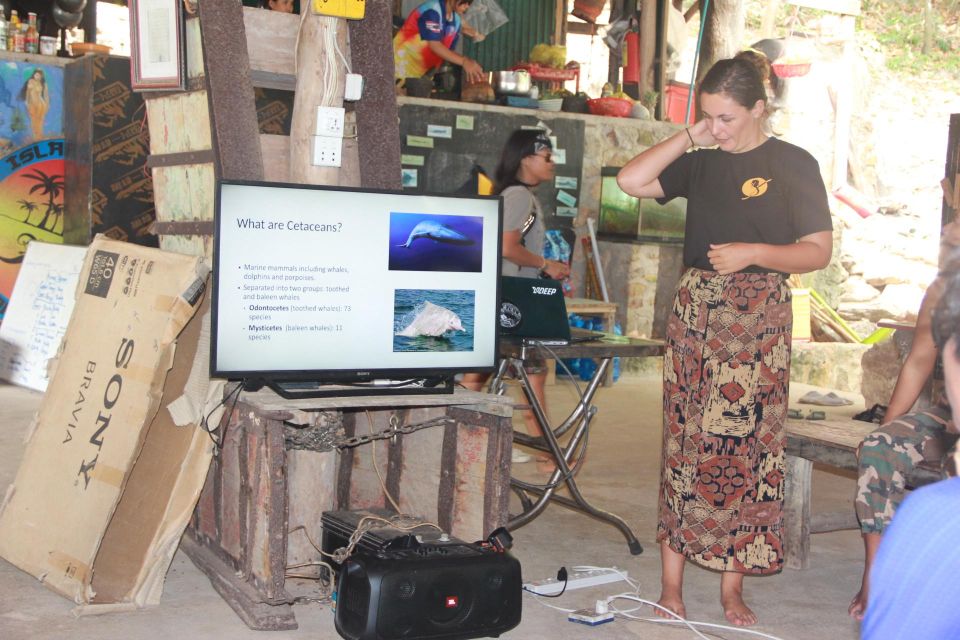 MARINE CONSERVATION INSIGHT by Discovery Center, Kep West - Environmental Impact and Education