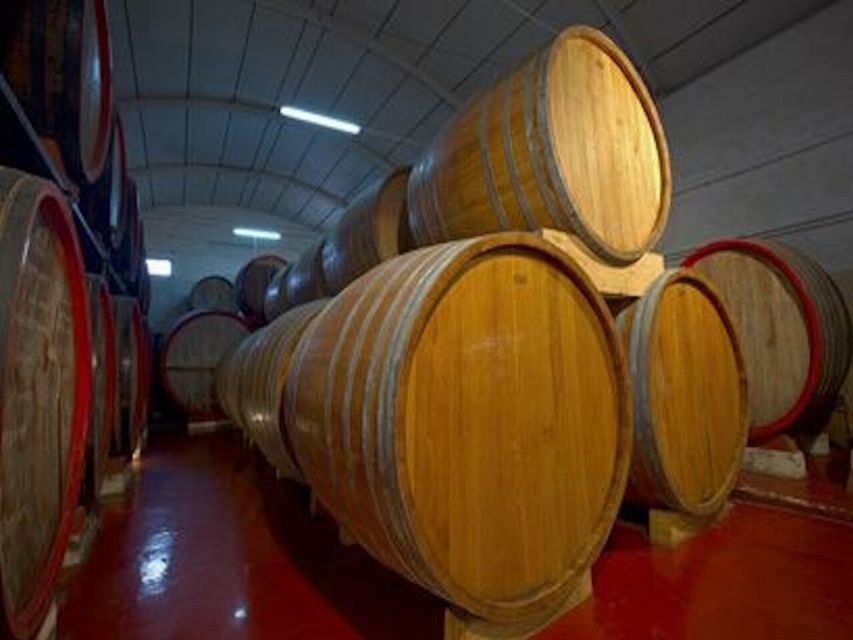 Marsala: Winery Tour With Wine Tasting and Local Products - Booking and Cancellation Policy