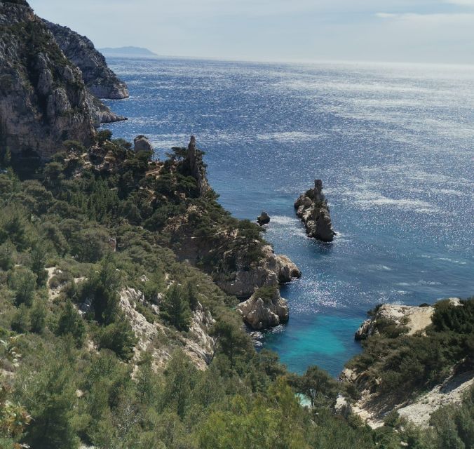 Marseille: Calanques National Park Guided Hike With Picnic - Customer Feedback