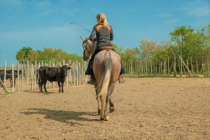 Marseille: The Camargue 8-Hour Guided Outing - Frequently Asked Questions