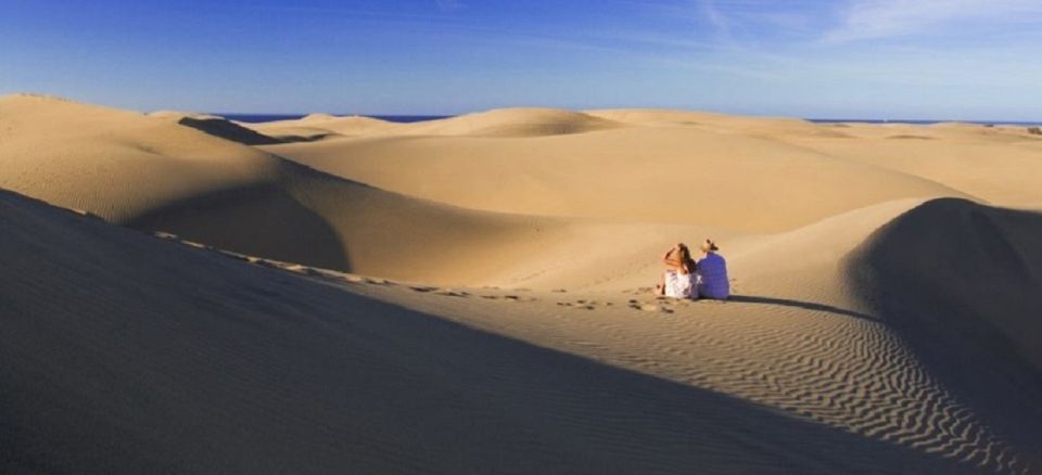 Maspalomas: E-Bike Tour Optional Camel Ride - Group Size and Languages