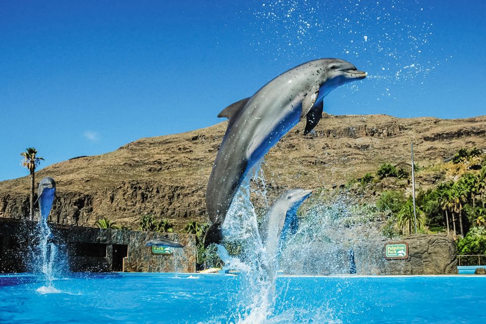 Maspalomas: Palmitos Park Ticket With Dolphin and Bird Shows - Customer Feedback