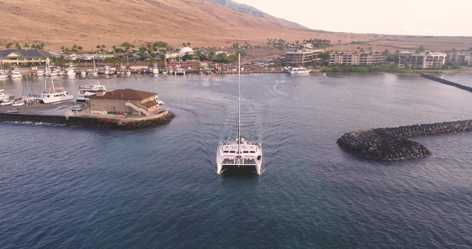 Maui: Alii Kai Turtles & Tacos Snorkel Sail - Getting to Maalaea Harbor