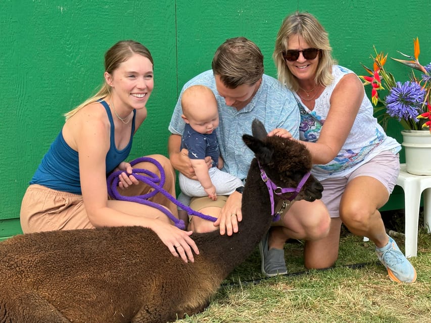 Maui: Alpaca Farm Visit With Hands-On Activities - Booking and Participant Information