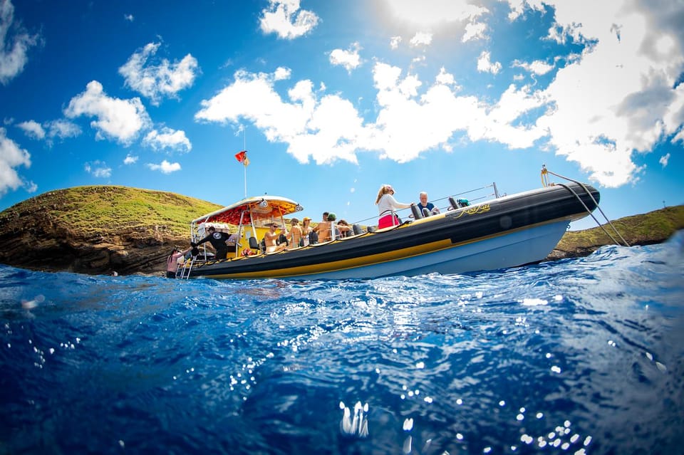 Maui: Thrilling Koa Kai Afternoon Snorkel Adventure - Encountering Marine Life