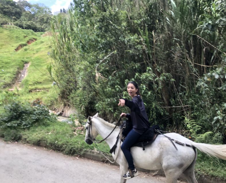 Medellín: Authentic Colombian Horseback Ride - Scenic Highlights of the Ride