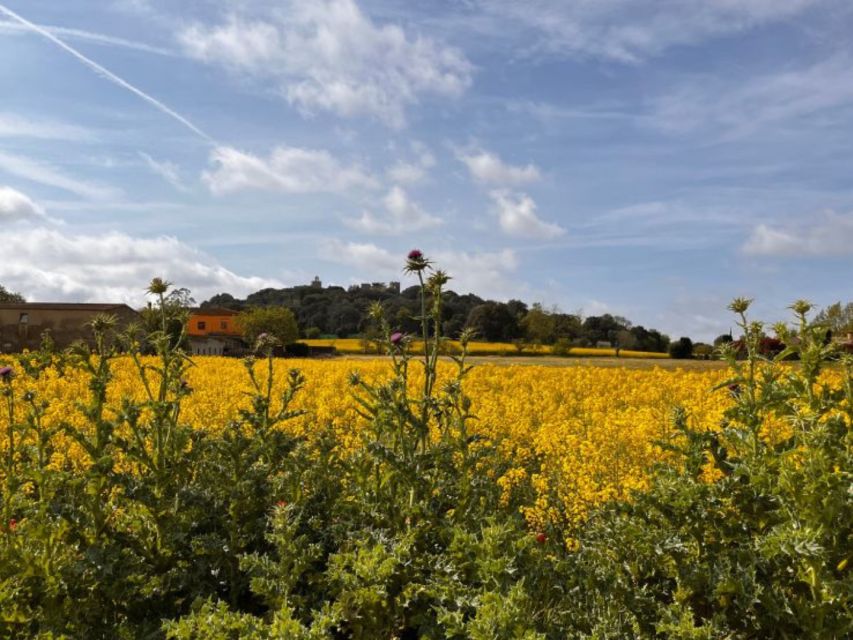 Medieval Tour: Cycle Tourism and History - Cycling Through Scenic Landscapes