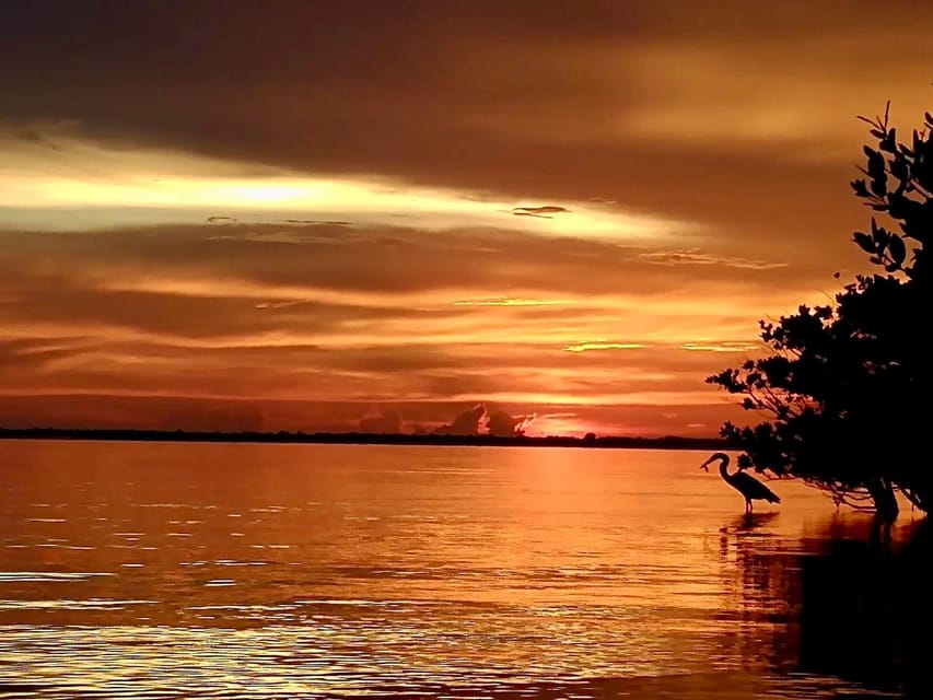 Merritt Island: Guided Kayak Eco-Tour Experience - Frequently Asked Questions