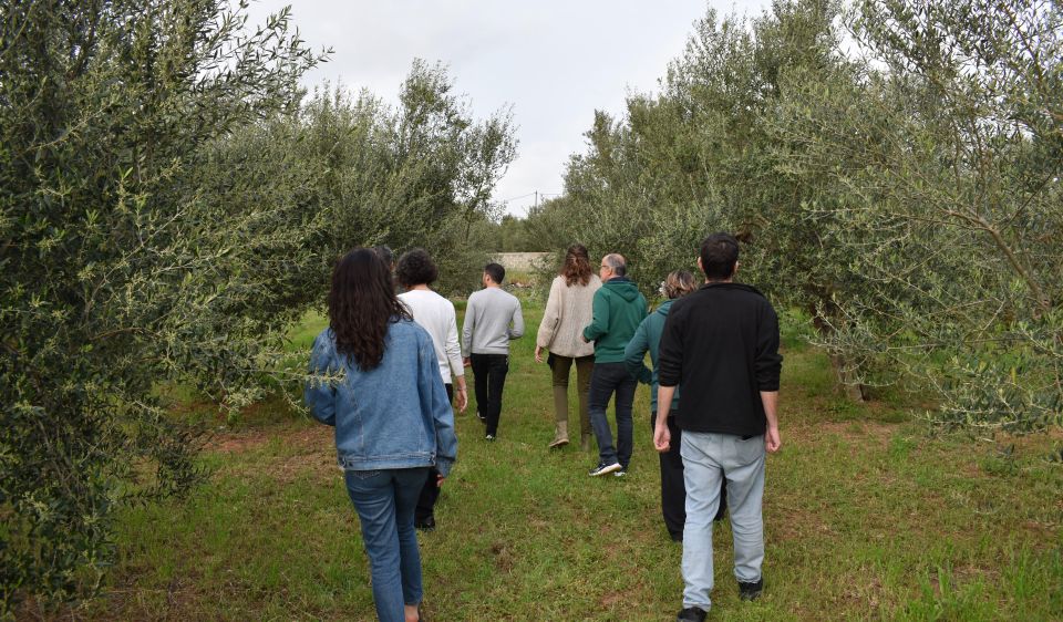 Messenia: Olive Oil Experience 2 -Tour and Food Pairing - Frequently Asked Questions