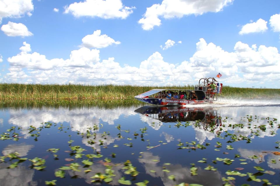 Miami: Everglades Adventure & Big Bus Hop-on Hop-off Tour - Roundtrip Transportation