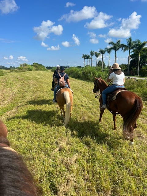 Miami: Horseback Riding - Tips for First-Timers