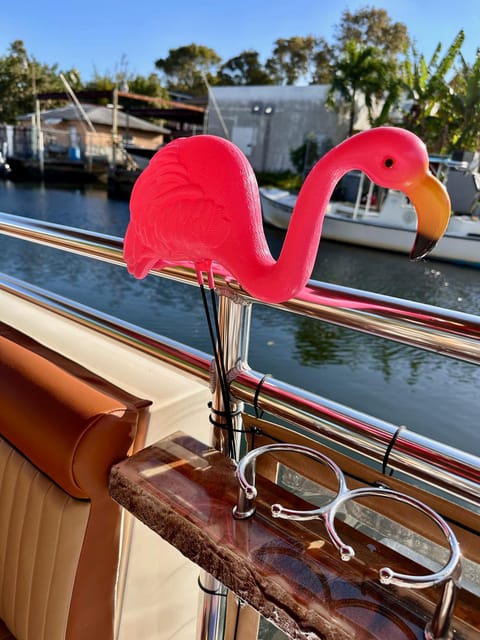 Miami: Private Morning Cruise With the Pink Flamingo Tiki - Important Guidelines