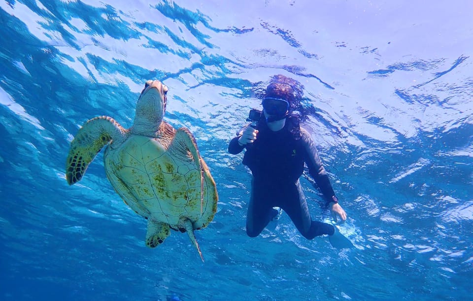 Miyako Island: Sea Turtle Snorkeling Tour - Booking Process