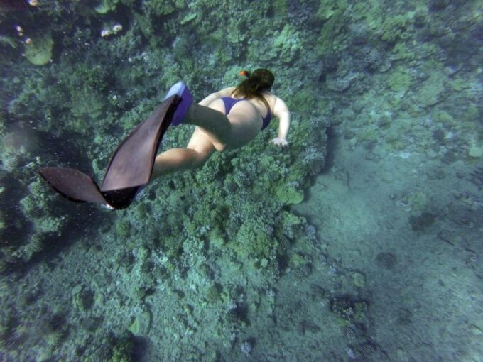 Mojacar Vera: Beaches and Secret Corners of Mojacar Coast - Swimming and Snorkeling