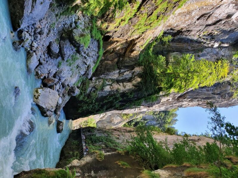 Montreux Private Tour: Waterfalls Valley&Aareschlucht Gorge - Booking Process