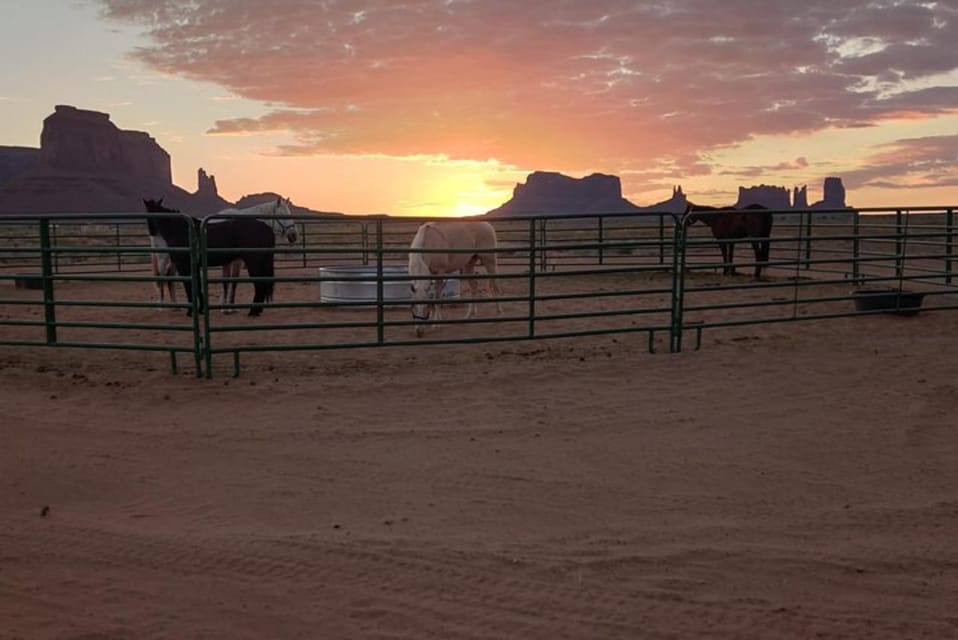 Monument Valley: Horseback Adventure Tour - Horse and Rider Matching