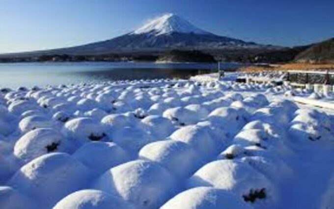 Mount Fuji and Hakone Day Tour With English Speaking Drivers - Recap