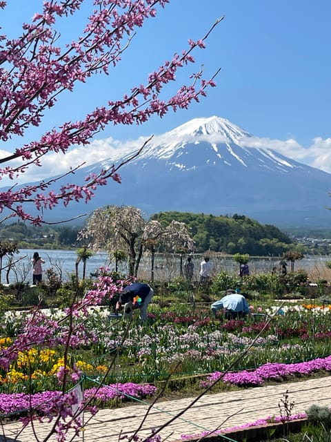 Mount Fuji and Lake Kawaguchiko Tour With English Guide - Recap