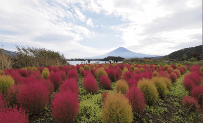 Mount Fuji Day Tour With English Speaking Guide - How to Book Your Tour