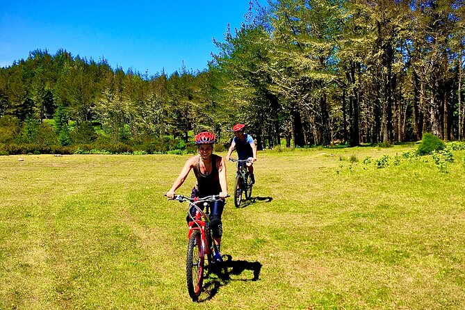 Mountain Biking Tour - Beginner Easy - Reviews and Traveler Feedback