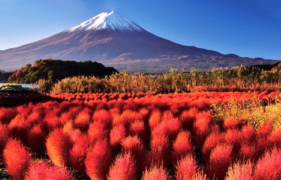 Mt.Fuji, Arakura Pagoda ,Oishi Park, Kawaguchico 1-Day Tour - Tips for Your Tour