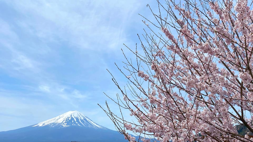 Mt Fuji: Full Day Private Tour From Tokyo by Luxury Vehicle - Cultural Insights From Your Guide