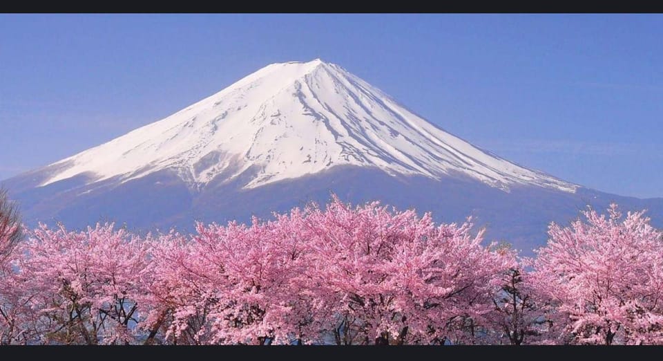 Mt Fuji, Oshino Hakai, Lake Kawaguchi, Lake Ashi 1 Day Tour - Photography Opportunities