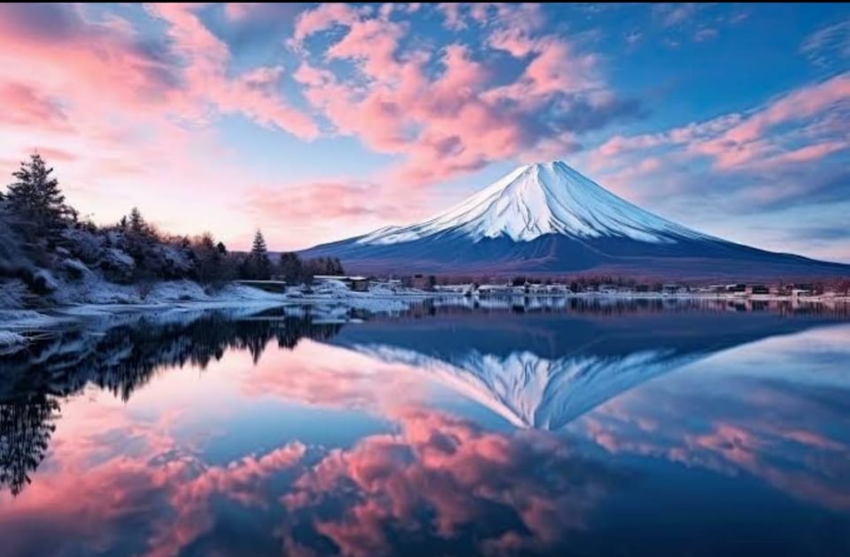 Mt Fuji Sightseeing Private Tour From Tokyo (English Driver) - Booking Process and Cancellation Policy