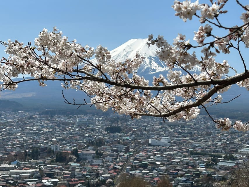 Mt.Fuji Tour, Tokyo / Yokohama ⇒ Tokyo, 2-4 Guests - Booking and Cancellation Policy