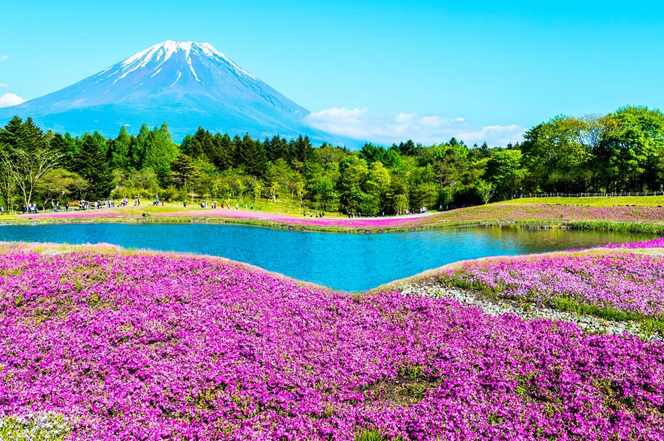 Mt.Fuji:Lake Kawaguchi,Yamanaka & Onsen Day Tour From Tokyo - Booking and Cancellation Policies