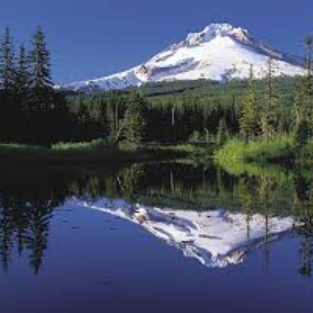 Mt Hood & Columbia River Private Tour From Portland - Customer Reviews