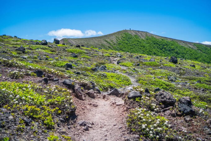 Mt. Tarumae: Hike Around an Active Volcanos Lava Dome! - Getting There and Tips