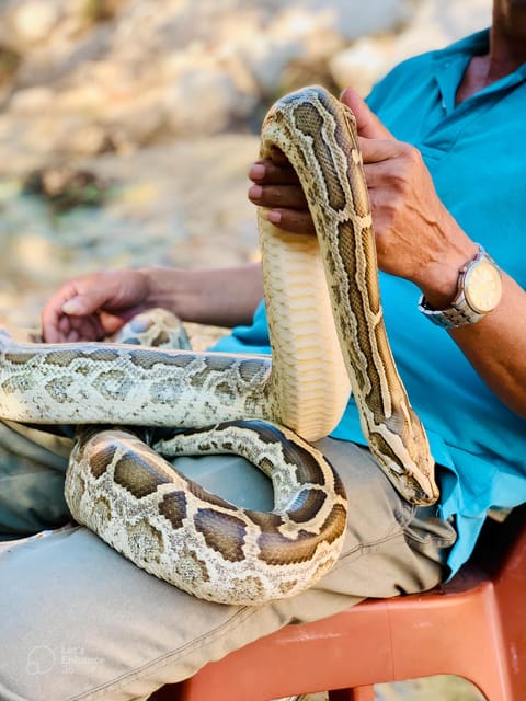 Mui Ne: Private Jeep Tour - Best For Family And Friends - Pricing and Availability