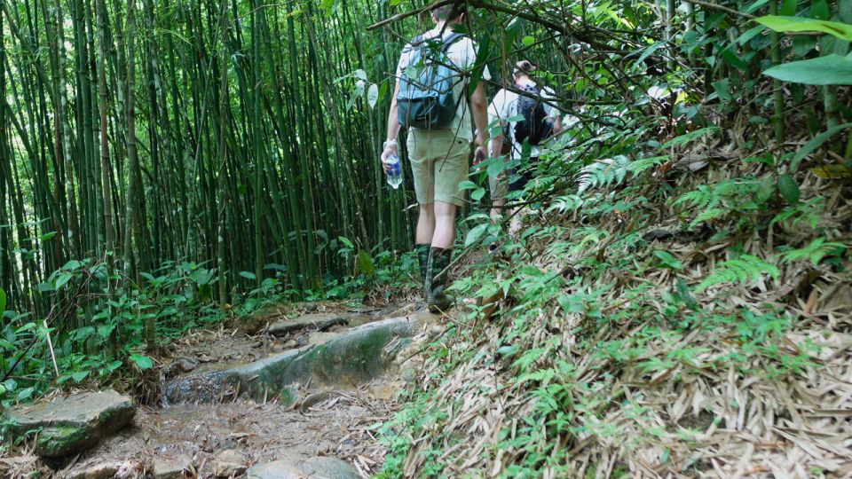 Muong Hoa Valley: Rice Fields, Villages, Mountain Views - Important Travel Information