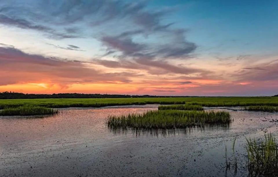 Murrells Inlet: Sunset Sealife Cruise - Important Considerations