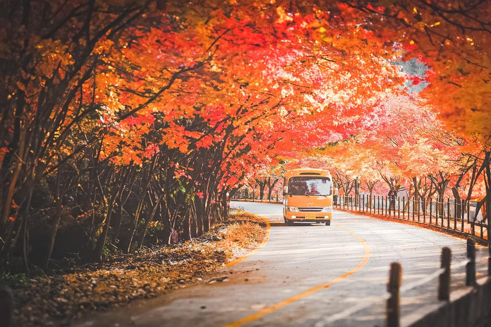 Naejangsan: Highlight of a Korean Autumn Day Trip From Busan - Seoul Drop-off Locations