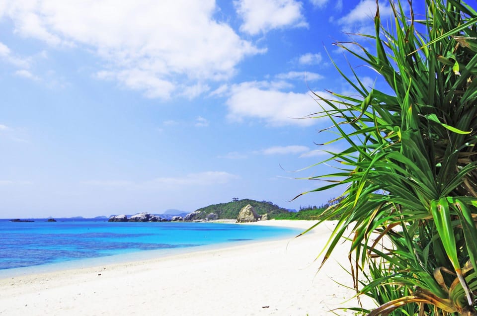 Naha: Tokashiki Day Trip & Kerama Islands Scuba Diving Trip - Tips for a Great Trip