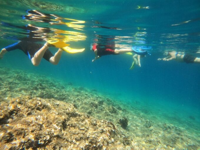Nea Makri: Marathon Cape & Bay of Schinias Snorkeling Trip - Customer Reviews and Ratings